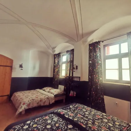 Bergmanns Lieblingsplatz 公寓 *